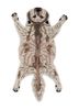 wild wanderlust ivory wool and viscose hand tufted Rug - HeadShot