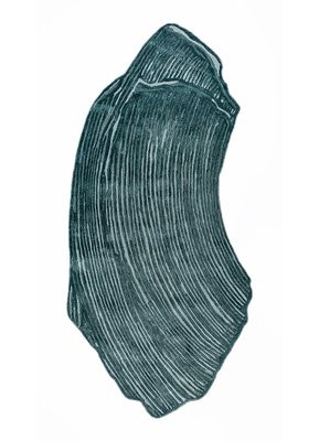 catalog-tile1