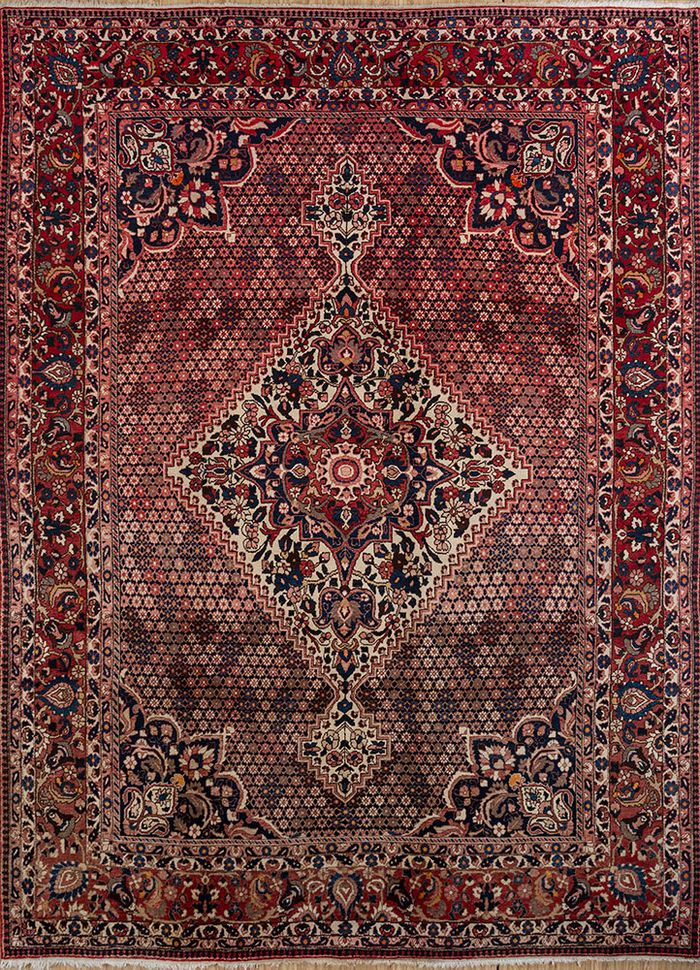 bakhtiari, iran (c.1970)
