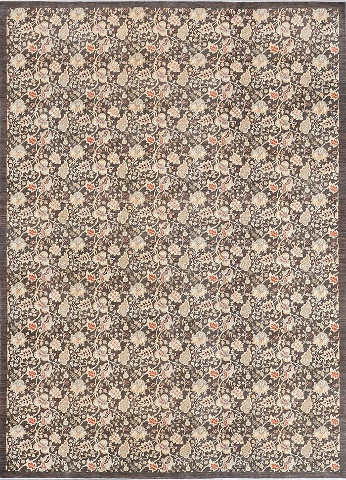 afghan, afghanistan (c.2010)