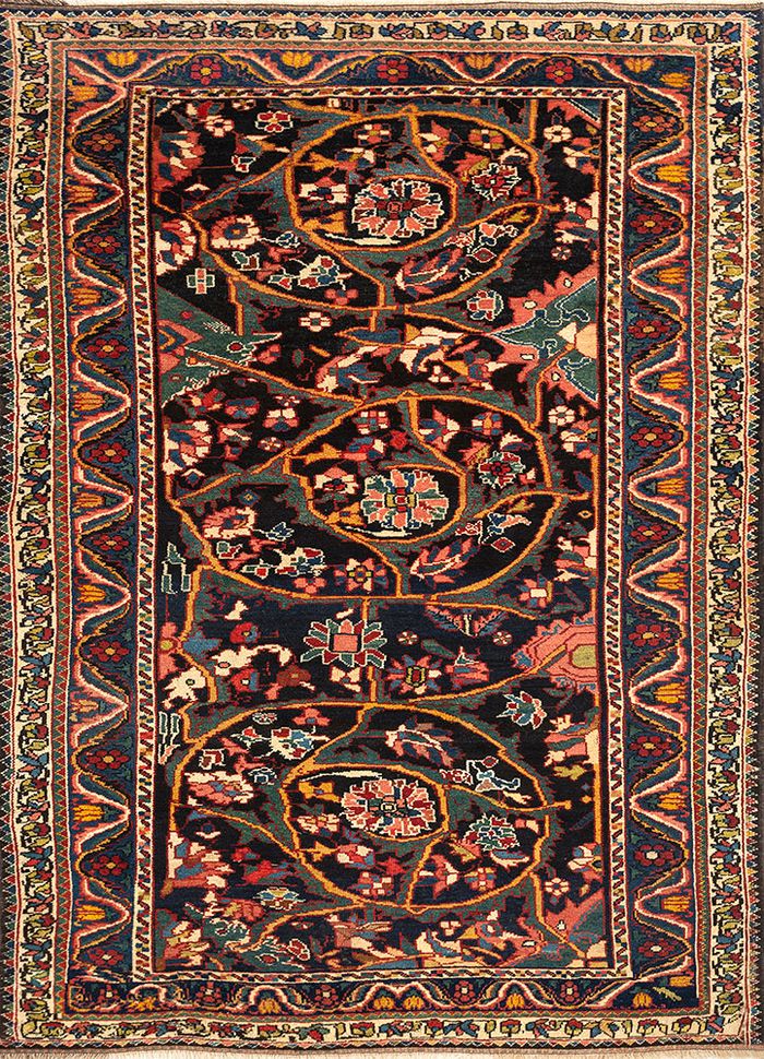 bakhtiari, iran (c.1910)
