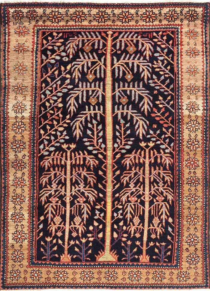 hamadan, iran (c.1910)