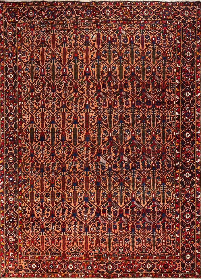 bakhtiari, iran (c.1950)