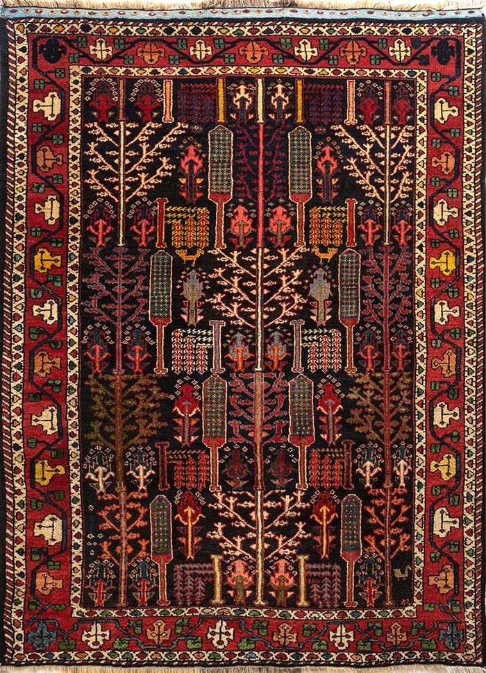 bakhtiari, iran (c.1910)