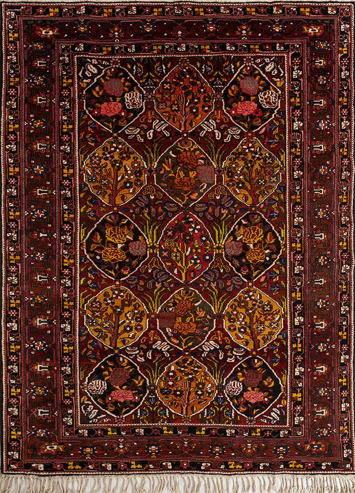 bakhtiari, iran (c.1960)