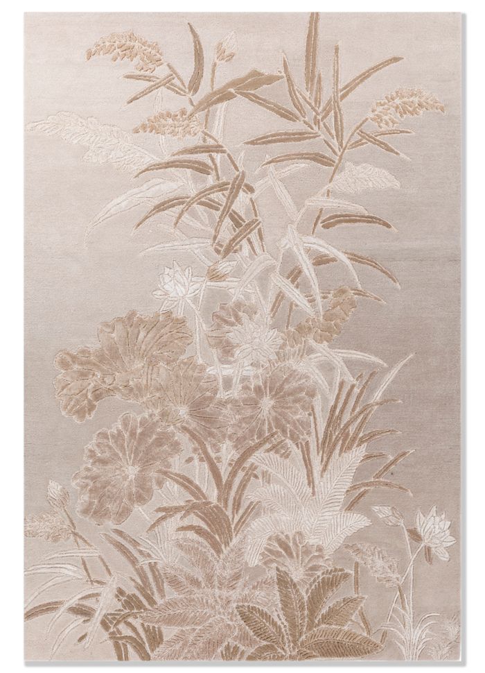 aurelia