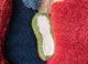 metamorphosis blue wool and bamboo silk hand knotted WALL ART & TAPESTRY - CloseUp metamorphosis blue wool and bamboo silk hand knotted WALL ART & TAPESTRY - CloseUp
