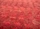 manchaha pink and purple wool and bamboo silk hand knotted Rug - CloseUp