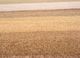 come around beige and brown wool and viscose hand tufted Rug - CloseUp come around beige and brown wool and viscose hand tufted Rug - CloseUp