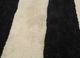 adrift ivory wool hand tufted Rug - CloseUp adrift ivory wool hand tufted Rug - CloseUp