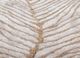 wild wanderlust ivory wool and viscose hand tufted Rug - CloseUp wild wanderlust ivory wool and viscose hand tufted Rug - CloseUp