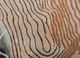 aurelia ivory wool and viscose hand tufted Rug - CloseUp