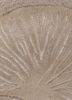 aurelia ivory wool and viscose hand tufted Rug - CloseUp aurelia ivory wool and viscose hand tufted Rug - CloseUp