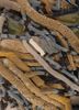 exposed spine ivory wool wall art WALL ART & TAPESTRY - CloseUp exposed spine ivory wool wall art WALL ART & TAPESTRY - CloseUp