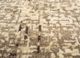 uvenuti beige and brown wool hand knotted Rug - CloseUp uvenuti beige and brown wool hand knotted Rug - CloseUp