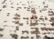 uvenuti ivory wool hand knotted Rug - CloseUp uvenuti ivory wool hand knotted Rug - CloseUp