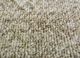 manifest green wool hand knotted Rug - CloseUp manifest green wool hand knotted Rug - CloseUp