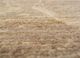 manifest beige and brown wool hand knotted Rug - CloseUp manifest beige and brown wool hand knotted Rug - CloseUp