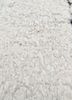 aprezo ivory wool hand knotted Rug - CloseUp