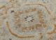 erbe beige and brown wool hand knotted Rug - CloseUp
