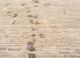 entropy ivory wool and silk hand knotted Rug - CloseUp entropy ivory wool and silk hand knotted Rug - CloseUp
