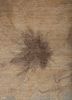 entropy ivory wool and silk hand knotted Rug - CloseUp entropy ivory wool and silk hand knotted Rug - CloseUp