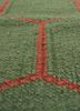 indusbar green wool flat weaves Rug - CloseUp
