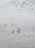 urban pause by kavi ivory wool and silk hand knotted Rug - CloseUp