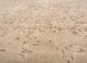 entropy beige and brown wool and bamboo silk hand knotted Rug - CloseUp entropy beige and brown wool and bamboo silk hand knotted Rug - CloseUp