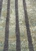 aakar by kavi green wool and bamboo silk hand knotted Rug - CloseUp aakar by kavi green wool and bamboo silk hand knotted Rug - CloseUp