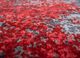 project error by kavi red and orange wool and bamboo silk hand knotted Rug - CloseUp