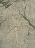 urban pause by kavi green wool and bamboo silk hand knotted Rug - CloseUp