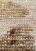 erbe pink and purple wool hand knotted Rug - CloseUp erbe pink and purple wool hand knotted Rug - CloseUp