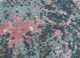 far east pink and purple wool and silk hand knotted Rug - CloseUp