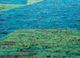 manchaha ivory wool hand knotted Rug - CloseUp manchaha ivory wool hand knotted Rug - CloseUp