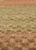 manchaha beige and brown wool and bamboo silk hand knotted Rug - CloseUp