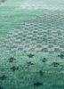 manchaha green wool and bamboo silk hand knotted Rug - CloseUp