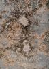 uvenuti ivory wool and bamboo silk hand knotted Rug - CloseUp