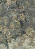 uvenuti beige and brown wool and bamboo silk hand knotted Rug - CloseUp uvenuti beige and brown wool and bamboo silk hand knotted Rug - CloseUp