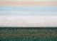 manchaha ivory silk hand knotted Rug - CloseUp manchaha ivory silk hand knotted Rug - CloseUp