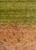 kavi x manchaha gold wool hand knotted Rug - CloseUp