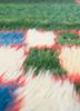 nuray green wool hand knotted Rug - CloseUp nuray green wool hand knotted Rug - CloseUp