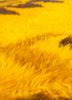 nuray gold wool hand knotted Rug - CloseUp