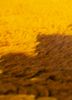 zuri red and orange wool hand knotted Rug - CloseUp zuri red and orange wool hand knotted Rug - CloseUp