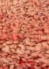 nuray red and orange wool hand knotted Rug - CloseUp