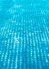 lacuna blue wool hand knotted Rug - CloseUp lacuna blue wool hand knotted Rug - CloseUp