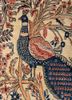 aalam gold wool hand knotted Rug - CloseUp aalam gold wool hand knotted Rug - CloseUp