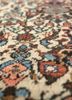 aalam ivory wool hand knotted Rug - CloseUp