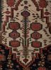 kiaan ivory wool hand knotted Rug - CloseUp kiaan ivory wool hand knotted Rug - CloseUp