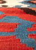 nayaab beige and brown wool flat weaves Rug - CloseUp nayaab beige and brown wool flat weaves Rug - CloseUp